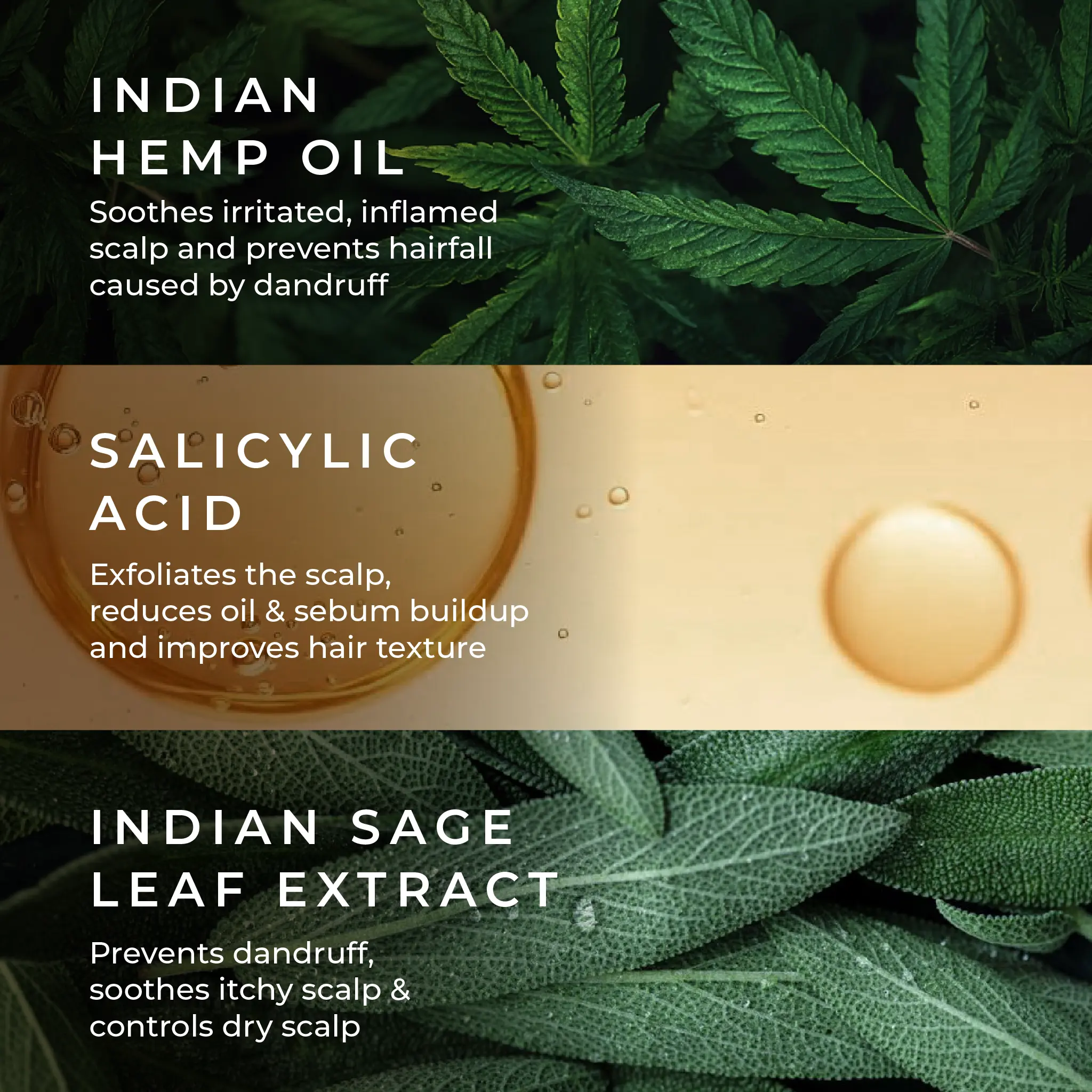 Naturali Anti-Dandruff Conditioner with Hemp, Sage & Salicylic Acid - Image 5