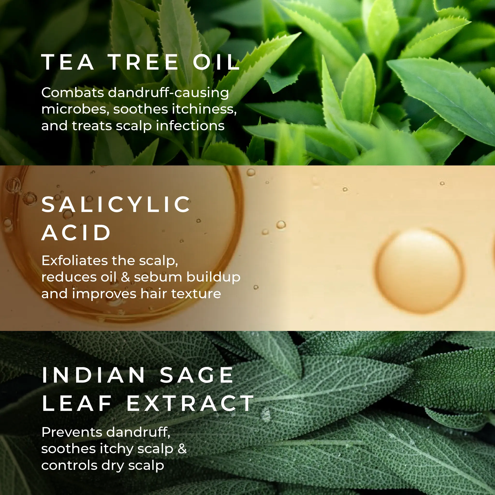 Naturali Anti-Dandruff Scalp Serum With Sage, Tea Tree Oil & Salicylic Acid - Image 4