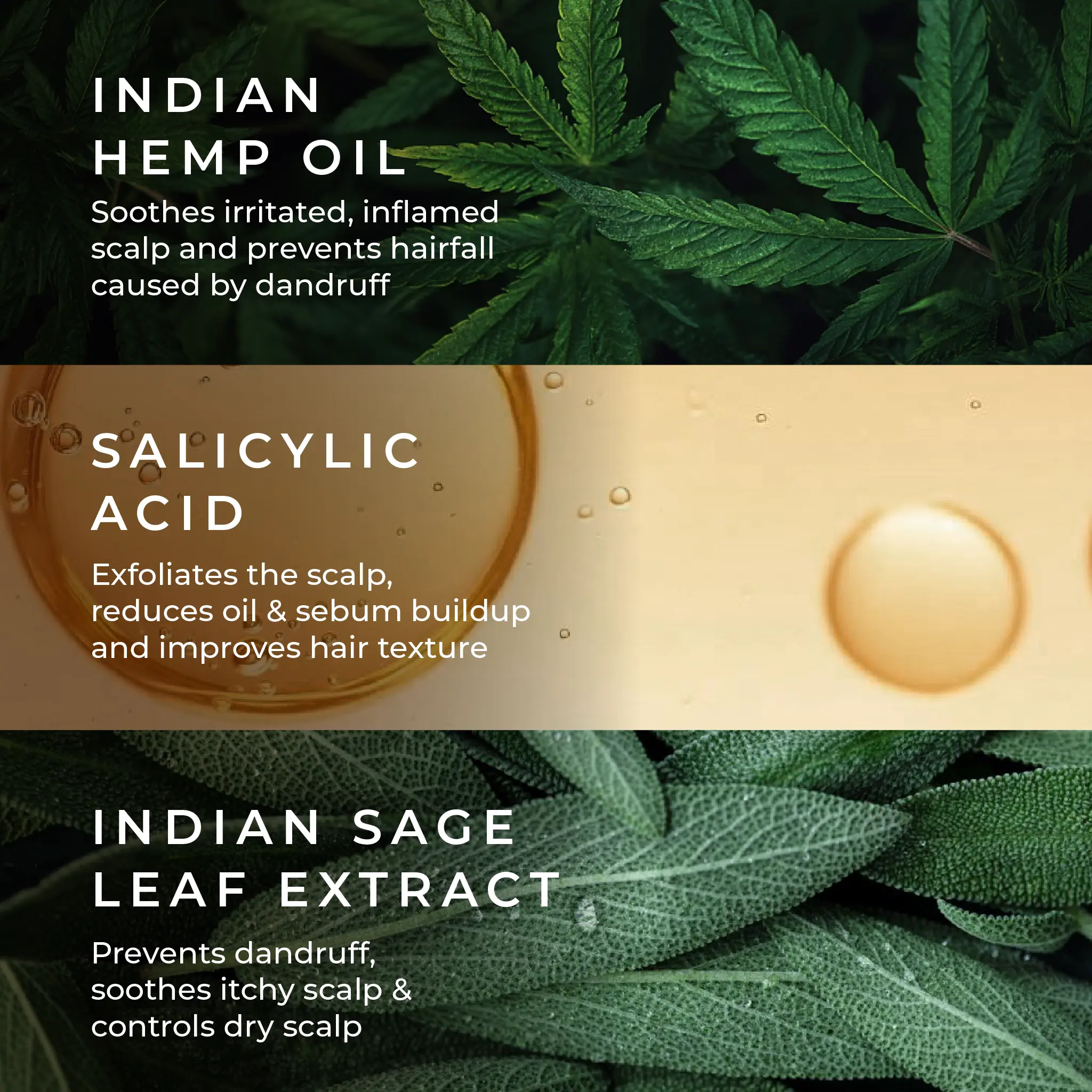 Naturali Anti-Dandruff Shampoo with Hemp, Sage & Salicylic Acid - Image 5