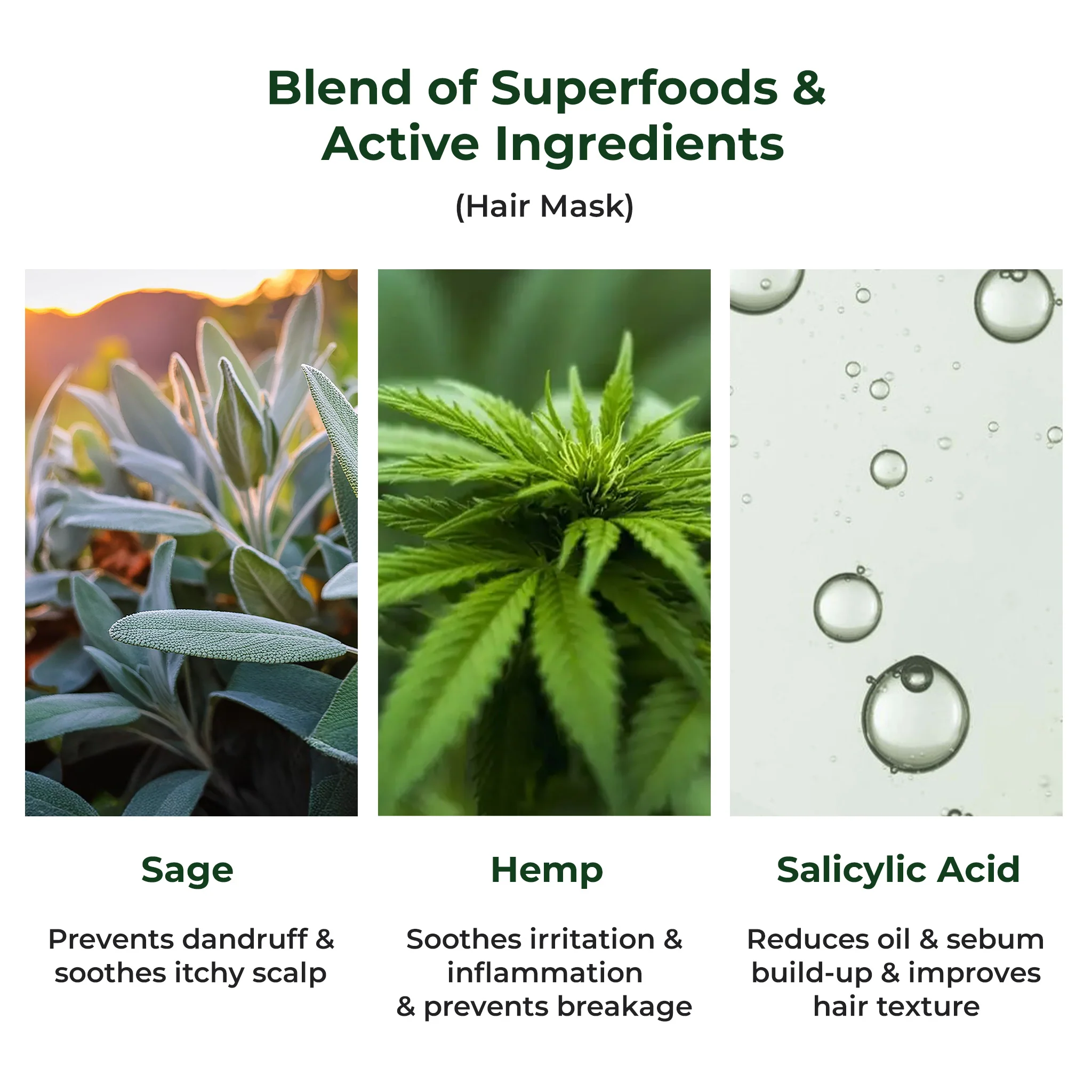 Naturali Anti-Dandruff Total Care Routine - Shampoo + Hair Mask + Scalp Serum + Scalp Massager (Hemp Range) - Image 4
