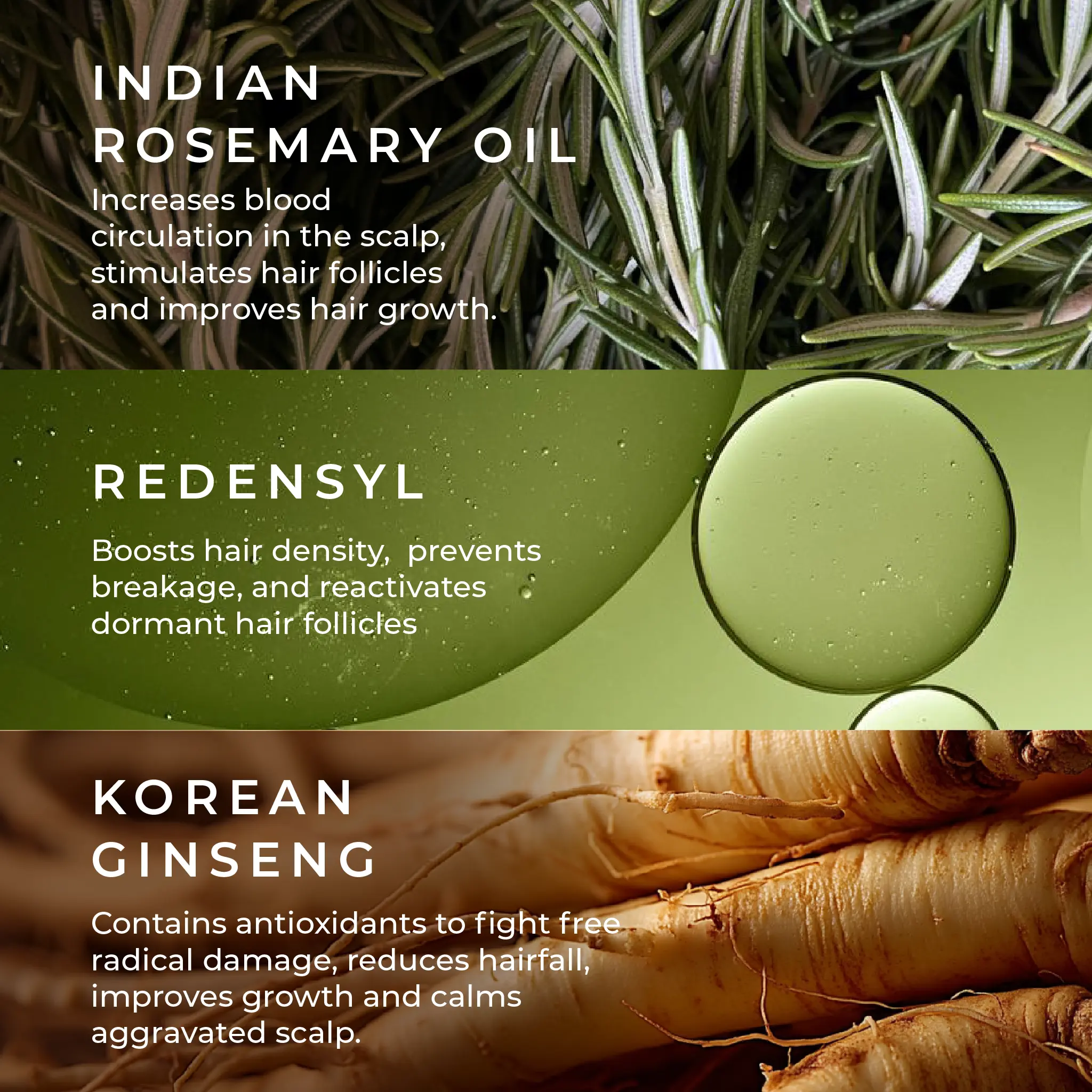 Naturali Anti-Hairfall Scalp Serum With Rosemary,Korean Ginseng & Redensyl - Image 5