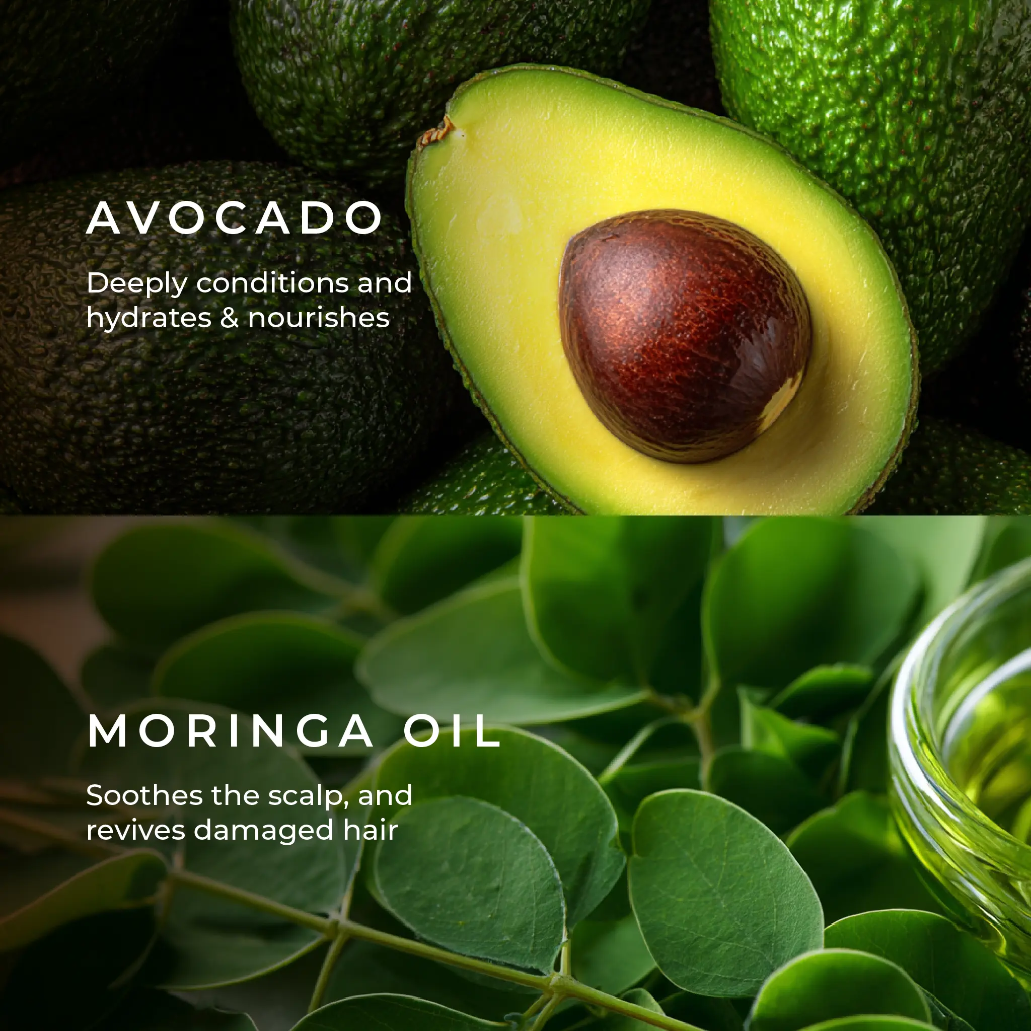 Naturali Damage Repair Conditioner for Split Ends & Breakage with Avocado & Moringa Oil - Image 5