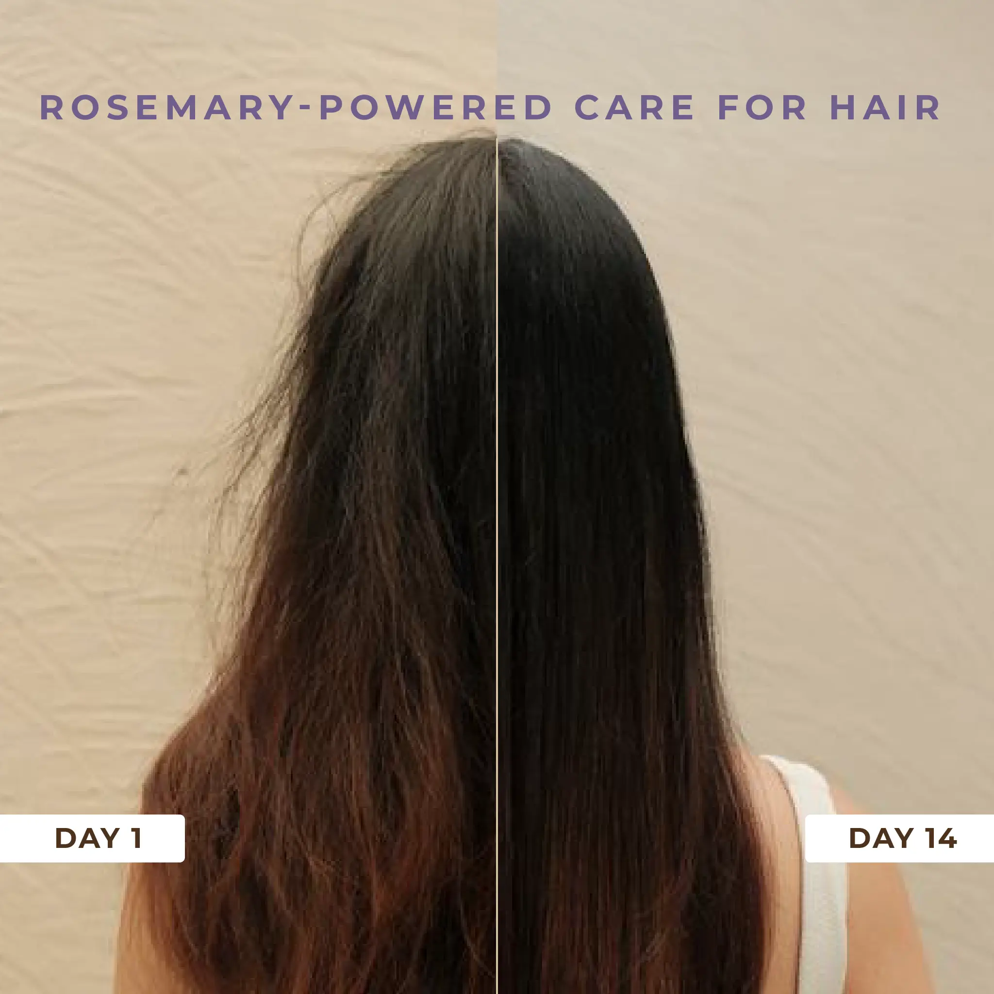 Naturali Rosemary Nourishment Combo - Anti-Hairfall Shampoo + Anti-Hairfall Hair Mask - Image 7