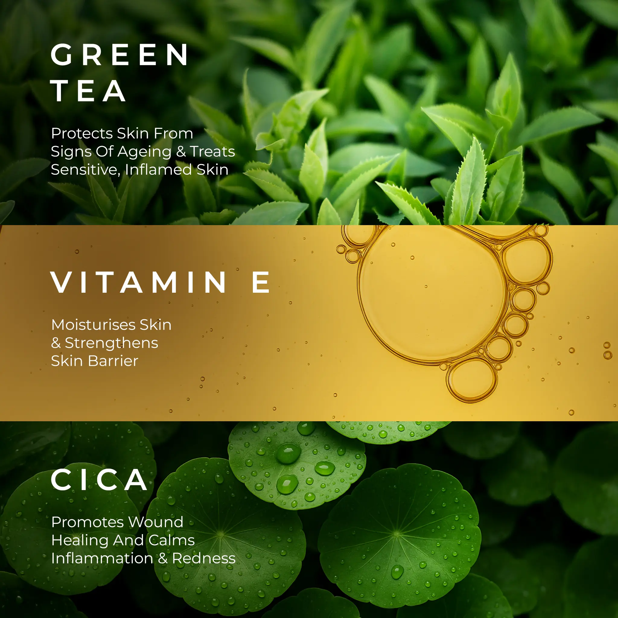 Naturali Soothing Face Moisturiser For Men With Green Tea, Cica & Vitamin E - Image 6