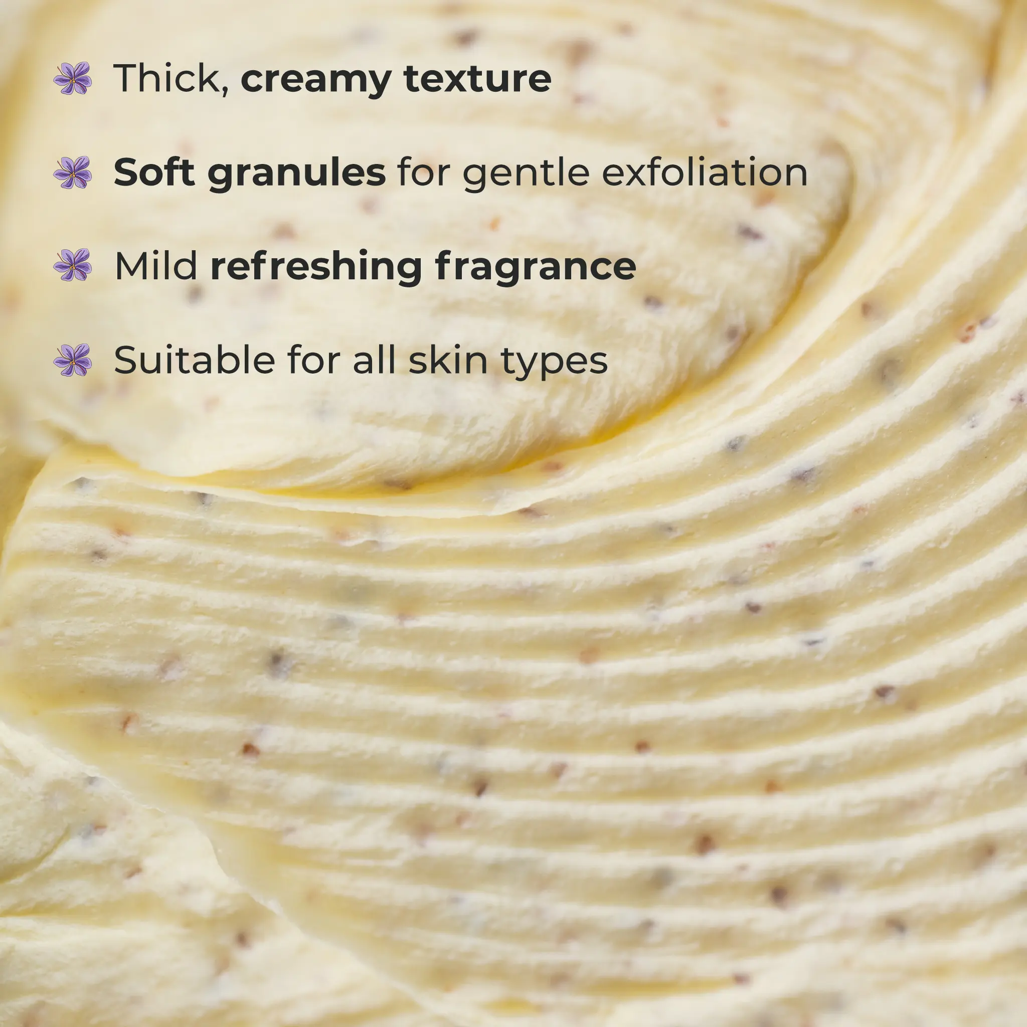 Naturali Ubtan Brightening Body Scrub With Saffron, Turmeric, Sandalwood Oil & Chickpeas - Image 6
